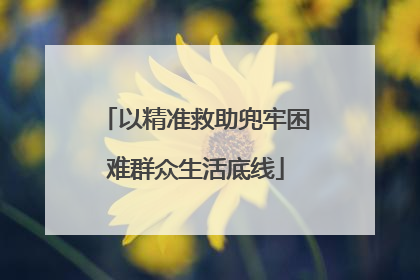 以精准救助兜牢困难群众生活底线