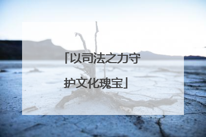 以司法之力守护文化瑰宝