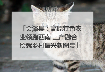 会泽县：高原特色农业领跑西南 三产融合绘就乡村振兴新图景