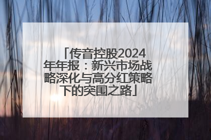 传音控股2024年年报：新兴市场战略深化与高分红策略下的突围之路
