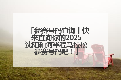 参赛号码查询丨快来查询你的2025沈阳和河半程马拉松参赛号码吧！