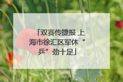 双赛传捷报 上海市徐汇区军休“乒”劲十足