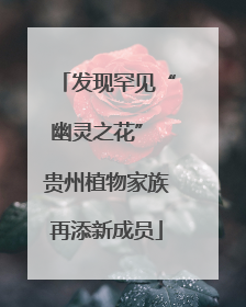 发现罕见“幽灵之花” 贵州植物家族再添新成员