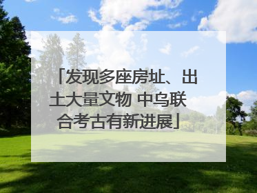 发现多座房址、出土大量文物 中乌联合考古有新进展