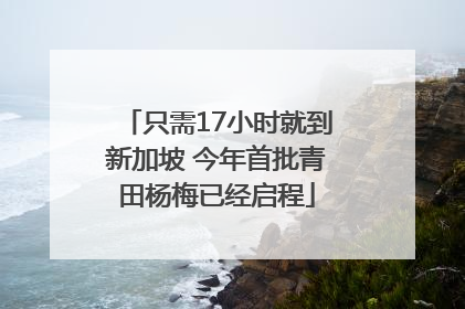 只需17小时就到新加坡 今年首批青田杨梅已经启程