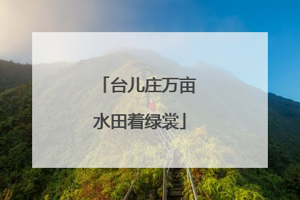 台儿庄万亩水田着绿裳