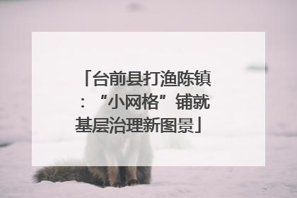 台前县打渔陈镇：“小网格”铺就基层治理新图景