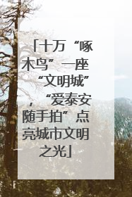 十万“啄木鸟”一座“文明城”，“爱泰安随手拍”点亮城市文明之光