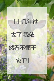 十几年过去了 我依然看不懂王家卫