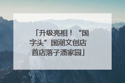 升级亮相！“国字头”国潮文创店首店落子潘家园