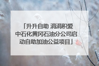 升升自助 涓涓积爱 中石化黄冈石油分公司启动自助加油公益项目