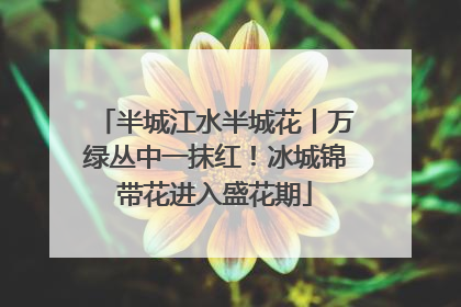 半城江水半城花丨万绿丛中一抹红！冰城锦带花进入盛花期