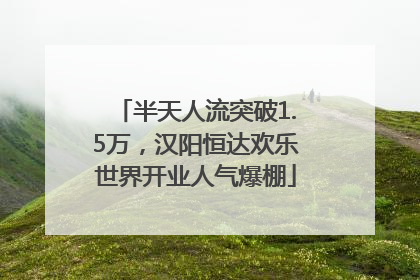 半天人流突破1.5万，汉阳恒达欢乐世界开业人气爆棚
