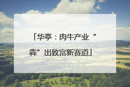华亭：肉牛产业“犇”出致富新赛道