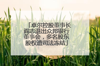 卓尔控股董事长阎志退出众邦银行董事会，多名股东股权遭司法冻结