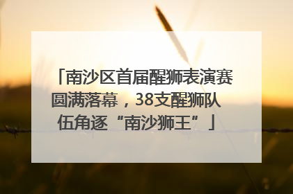 南沙区首届醒狮表演赛圆满落幕，38支醒狮队伍角逐“南沙狮王”