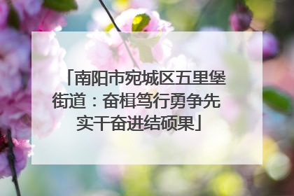 南阳市宛城区五里堡街道：奋楫笃行勇争先 实干奋进结硕果