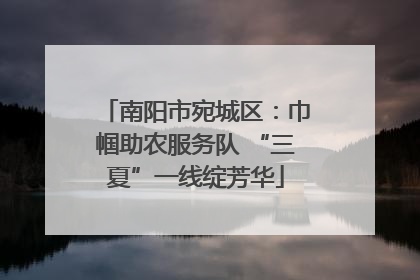 南阳市宛城区：巾帼助农服务队 “三夏”一线绽芳华