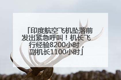 印度航空飞机坠落前发出紧急呼叫！机长飞行经验8200小时，副机长1100小时