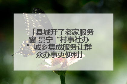 县城开了老家服务窗 景宁“村事社办”城乡集成服务让群众办事更便利