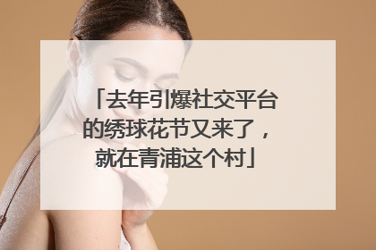 去年引爆社交平台的绣球花节又来了，就在青浦这个村