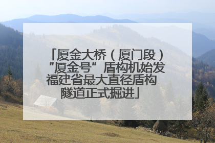 厦金大桥（厦门段）“厦金号”盾构机始发 福建省最大直径盾构隧道正式掘进