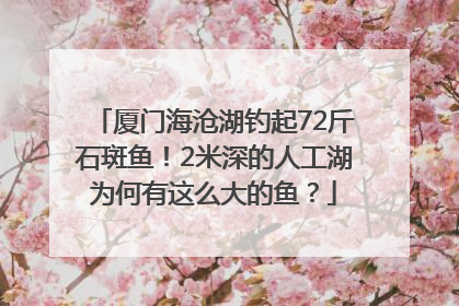 厦门海沧湖钓起72斤石斑鱼！2米深的人工湖为何有这么大的鱼？