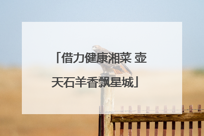 借力健康湘菜 壶天石羊香飘星城