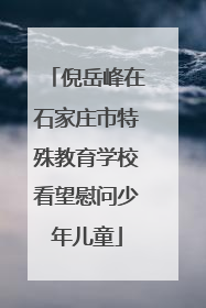 倪岳峰在石家庄市特殊教育学校看望慰问少年儿童