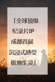 全球顶级纪录片IP成都首展 沉浸式感受极地生灵