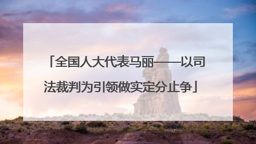 全国人大代表马丽——以司法裁判为引领做实定分止争