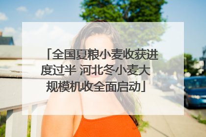 全国夏粮小麦收获进度过半 河北冬小麦大规模机收全面启动