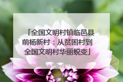 全国文明村镇临邑县前杨新村：从贫困村到全国文明村华丽蜕变