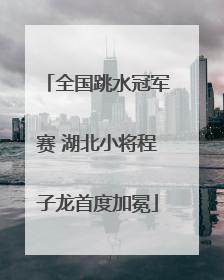 全国跳水冠军赛 湖北小将程子龙首度加冕