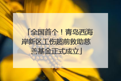 全国首个！青岛西海岸新区工伤超前救助慈善基金正式成立