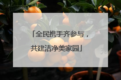 全民携手齐参与，共建洁净美家园