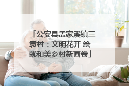 公安县孟家溪镇三袁村：文明花开 绘就和美乡村新画卷