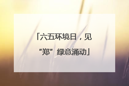 六五环境日，见“郑”绿意涌动
