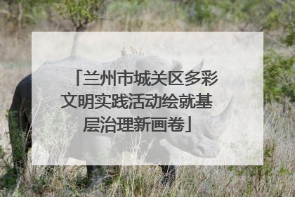 兰州市城关区多彩文明实践活动绘就基层治理新画卷