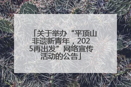 关于举办“平顶山非遗新青年，2025再出发”网络宣传活动的公告