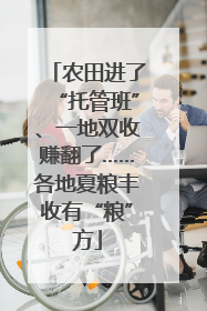 农田进了“托管班”、一地双收赚翻了……各地夏粮丰收有“粮”方