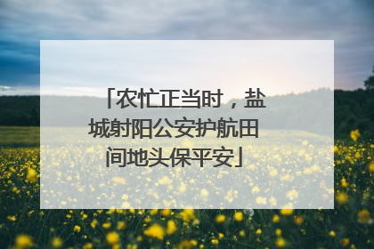 农忙正当时，盐城射阳公安护航田间地头保平安