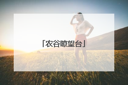 农谷瞭望台