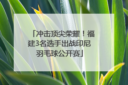 冲击顶尖荣耀！福建3名选手出战印尼羽毛球公开赛