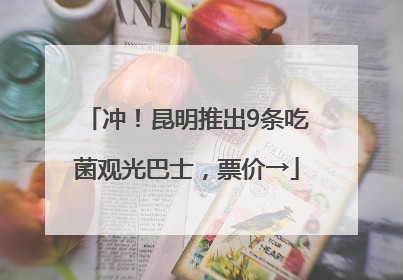 冲！昆明推出9条吃菌观光巴士，票价→