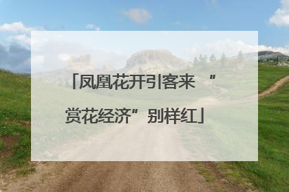 凤凰花开引客来 “赏花经济”别样红