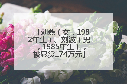 刘燕（女，1982年生）、刘波（男，1985年生），被悬赏174万元