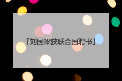 刘国梁获联合国聘书