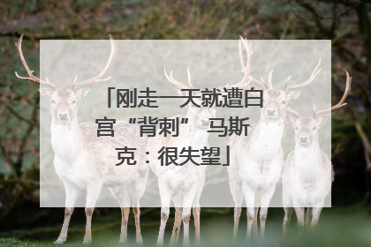 刚走一天就遭白宫“背刺” 马斯克：很失望