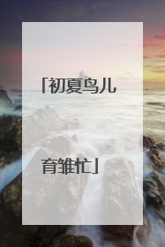 初夏鸟儿育雏忙